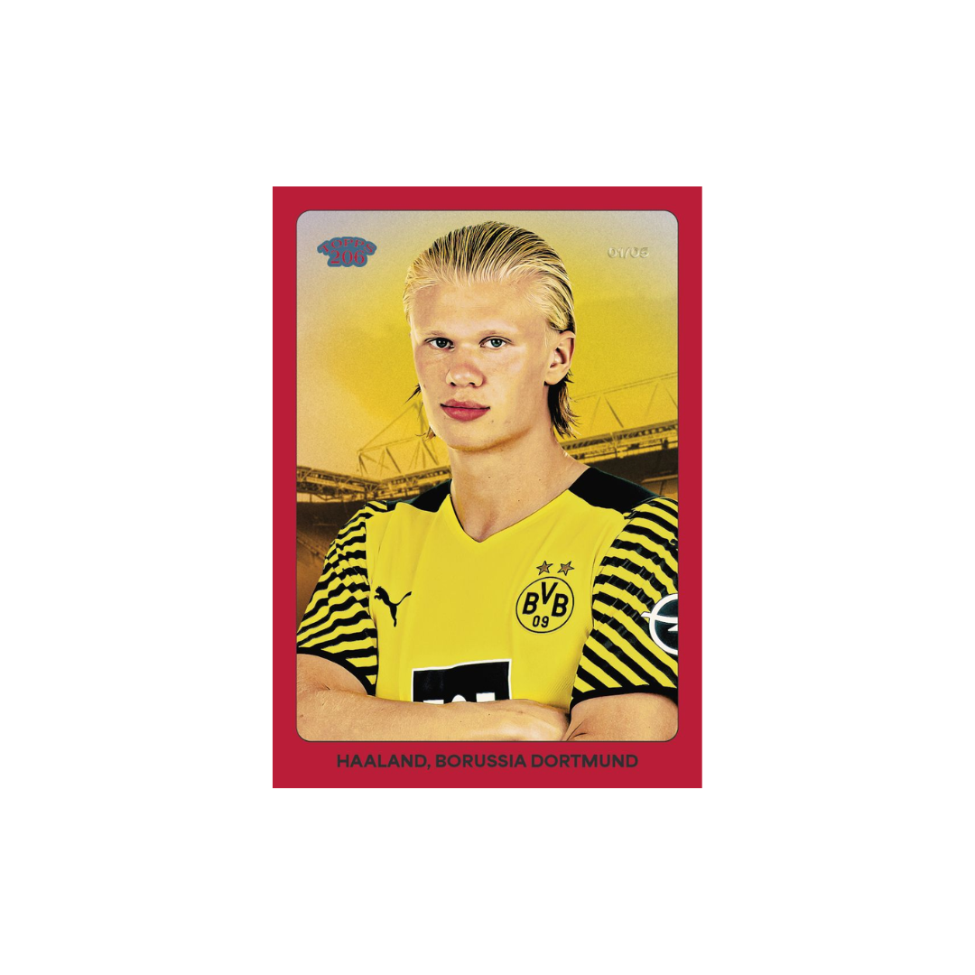 Topps Borussia Dortmund Team Set 2024/25