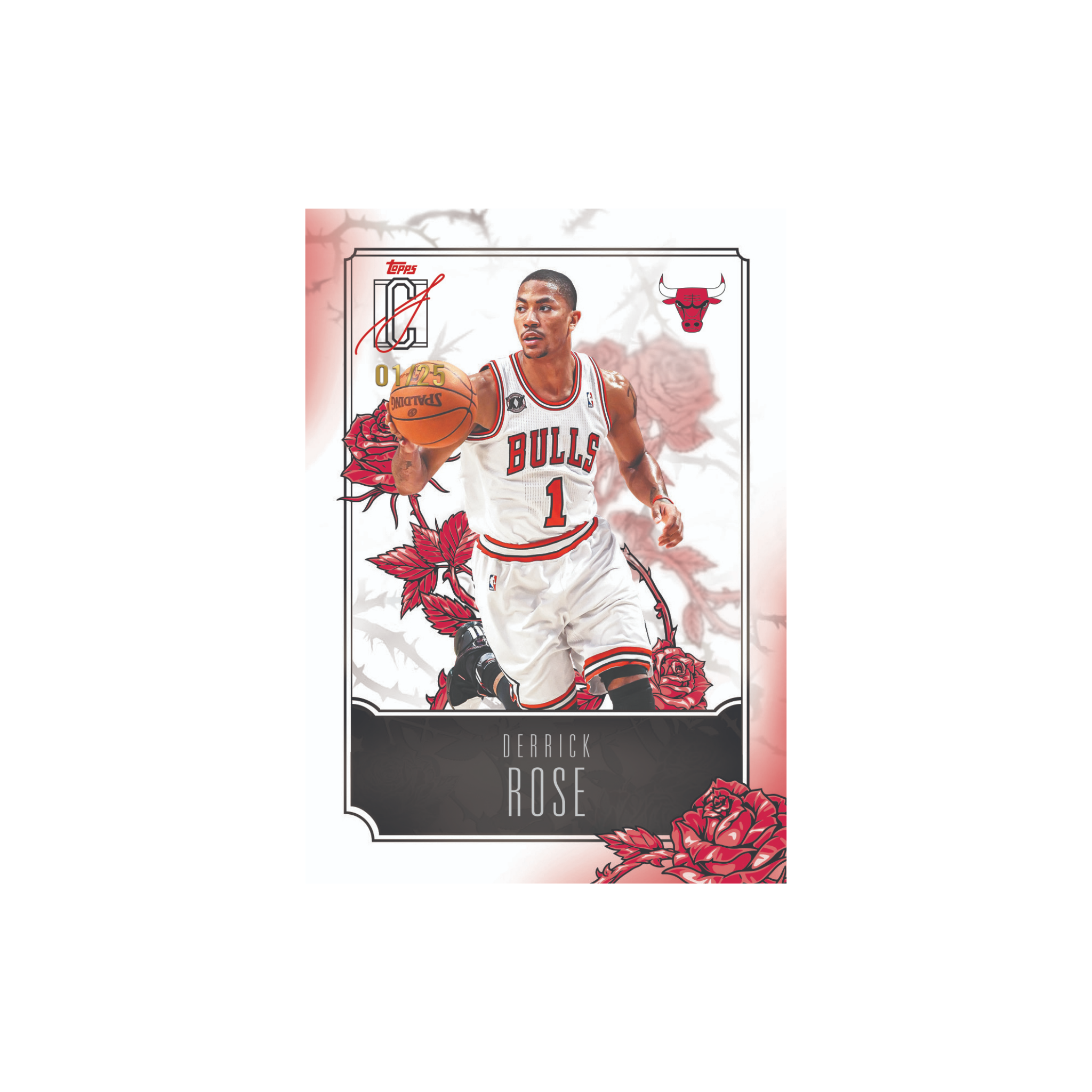 Topps Signature Class Basketball 2025-26  - Hobby Box