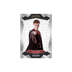 2024 PHANTOM Harry Potter Hobby Box