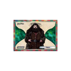 2024 PHANTOM Harry Potter Hobby Box