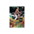 Topps WWE Universe 2025 - Hobby Box